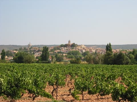 Ramoneur Pourrières