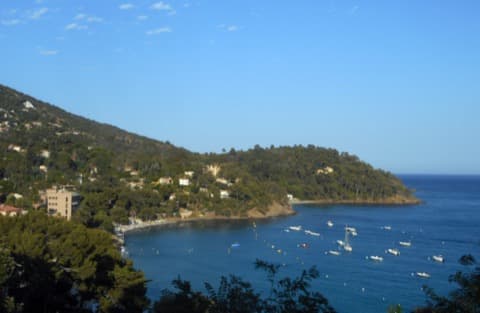 Ramoneur Rayol-Canadel-sur-Mer